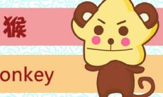 63年女兔2022年下半年的运气