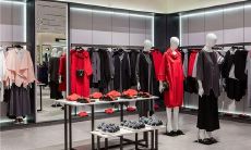 梦到死了很多狗是什么意思