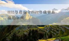 1995年属猪女2022年运势及运程如何