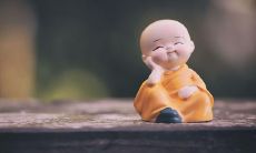 梦见死树是什么意思