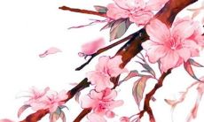 2022年必定发横财的生肖