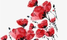 83属猪正缘出现在哪年 虎年有正缘