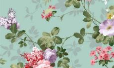 2010年属虎女一生命运如何