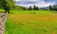 属相不合是怎么个说法