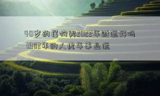 40岁的属狗男2022年财运好吗 1982年的人虎年事业运