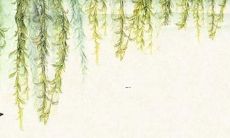 犯太岁适合佩戴什么