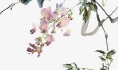 2022年属虎人怎么化解本命年