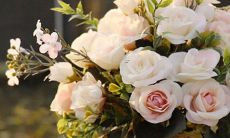 别在丢下我研究星座