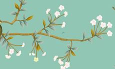 属鸡虎年运势2022 麦玲玲