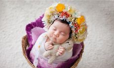 梦见雄师是什么意思