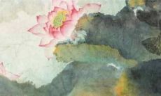 紫府在寅坐命2022年的运势