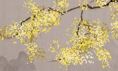 狮子座合适的星座