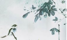 62属虎的女性老了靠谁