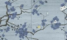 2022喜木的人为啥运势还不好