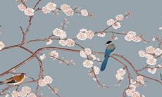 1995猪女2022运势完整版