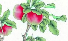 非常运势2022运势