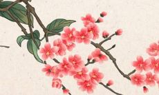 2022属牛人运势怎么样