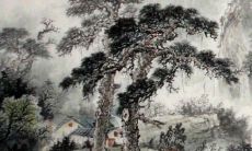 金牛属鼠2022运势