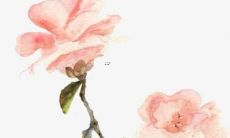 2022年属狗会出轨离婚吗 不会发生悲剧