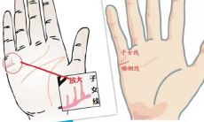 女人的哪种手型命好 哪种手型有福气