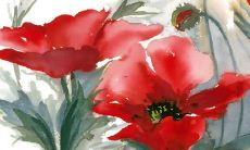 1984生肖鼠运势2022年