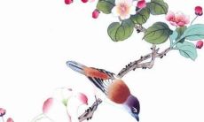 属相牛人2022年运势