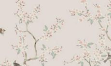 整容上瘾 把自己整成蛇精的星座女