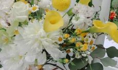 十二星座在什么情况下会斤斤计较