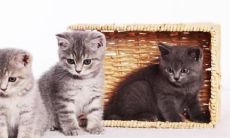 梦见头发被别人剪坏了 女人梦见头发被别人剪去一截