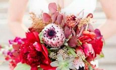 哪个星座男人脉好