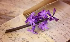 梦见老公要杀我