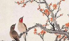 属猴女在2022年佩戴什么最好