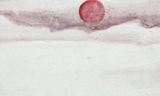 1985年属牛姻缘2022