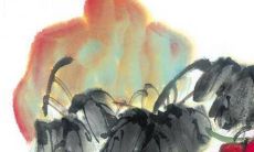 66的马2022虎年运势