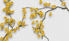 属狗的人幸运色是什么 2022永远最旺的颜色