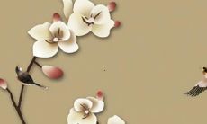 双重犯太岁如何化解