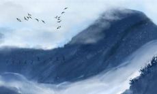 2022年癸水日的运势