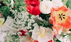 清高自大是这些星座失败的原因