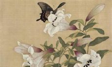 2022年属羊生肖运势如何