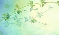 86年虎男2022年婚姻运势