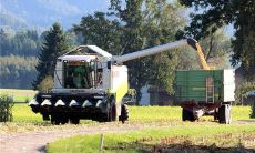 梦见锯末是什么意思