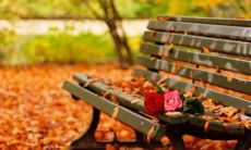 天秤座和双鱼座配吗 天秤和双鱼谁先爱上谁