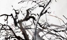 2022年属虎的人犯太岁吗