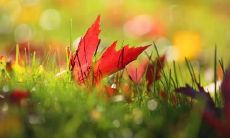 老是梦到死去的人好吗 有什么含义