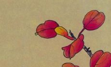 84年鼠2022年的全年运势