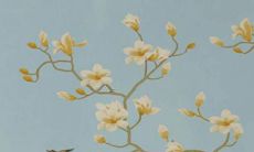 2022年属猴人如何化解太岁