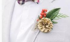 灵神星十二星座