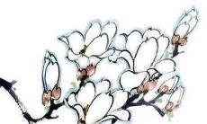 94年属狗人注定的婚姻 天作之合虎兔马