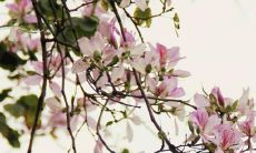 李计忠2022年属猪人运势