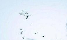 祥安阁2022年属虎的运势